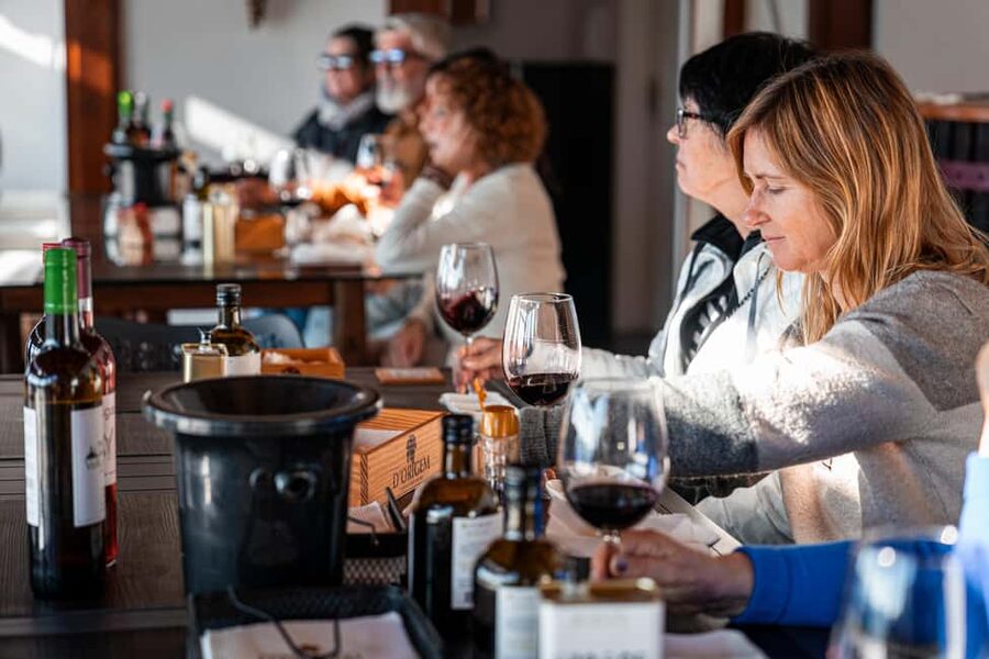 Douro Valley Tour: Visit 2 Wineries, Lunch & River Cruise - Who should book this Douro Valley Tour, and who should skip it