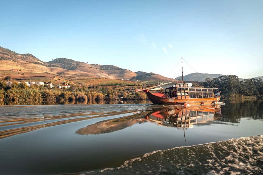 Douro Valley Tour: Visit 2 Wineries, Lunch & River Cruise - Winery stop one: guided tastings of DOC Douro and Port