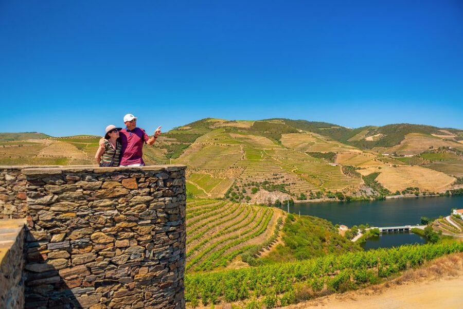 Douro Valley Tour: Visit 2 Wineries, Lunch & River Cruise - Winery stop two: comparing styles and learning the Port angle