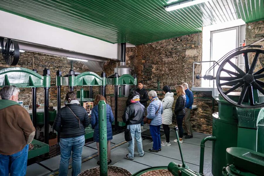 Douro Valley Tour: Visit 2 Wineries, Lunch & River Cruise - Pinhão river cruise: one hour of real Douro river time