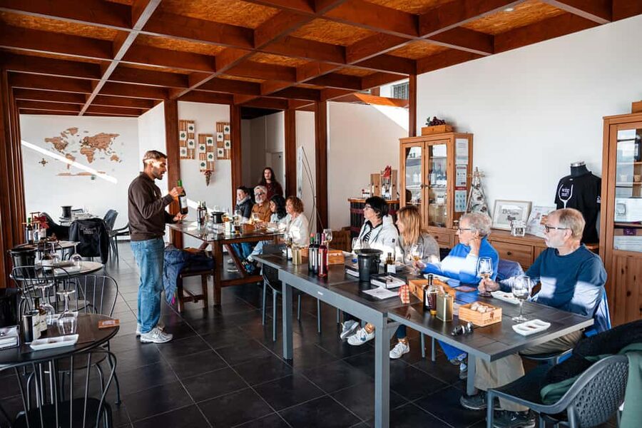 Douro Valley Tour: Visit 2 Wineries, Lunch & River Cruise - Price and value: why $116 makes sense for what you get