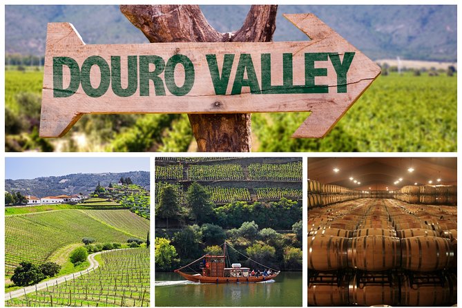 Douro Valley Tour: Wine Tasting, Cruise and Lunch from Porto - Key Things I’d Plan Around on This Douro Day