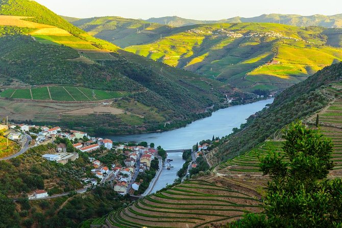 Douro Valley Tour: Wine Tasting, Cruise and Lunch from Porto - Guides Make the Day: Examples of Who You Might Be With