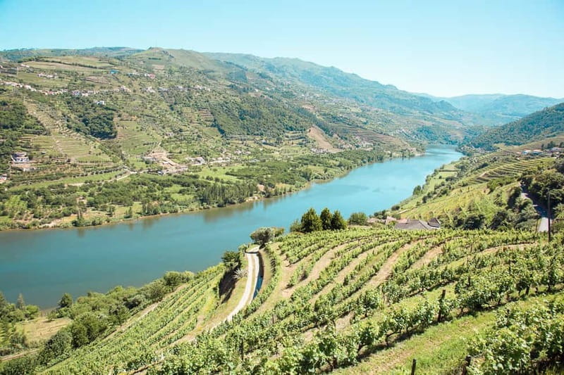 Douro Valley: Tour with Wine Tastings, Lunch, and Boat Ride - Why This Douro Valley Day Trip Feels Worth It