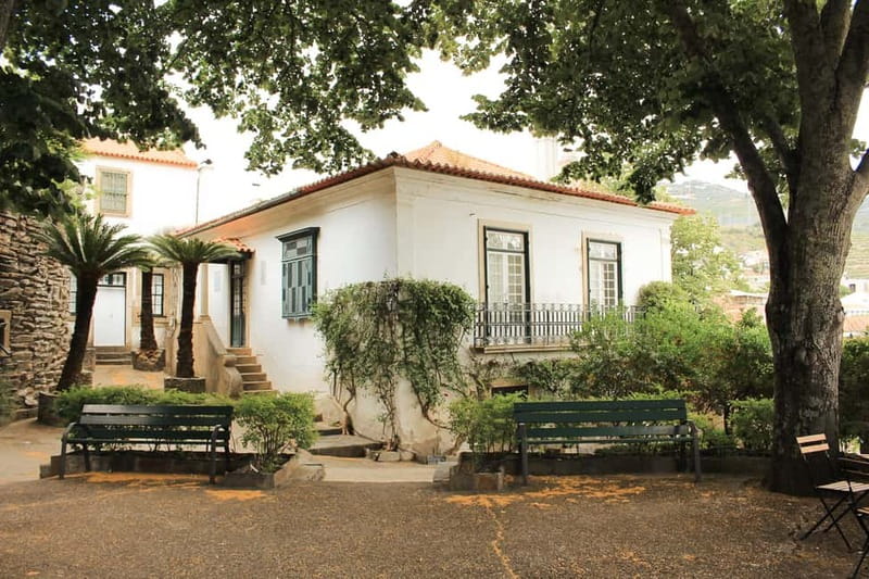 Douro Valley: Tour with Wine Tastings, Lunch, and Boat Ride - Second Winery Stop: Small Table Wine Producer, Premium Differences, Plus Olive Oil and Honey