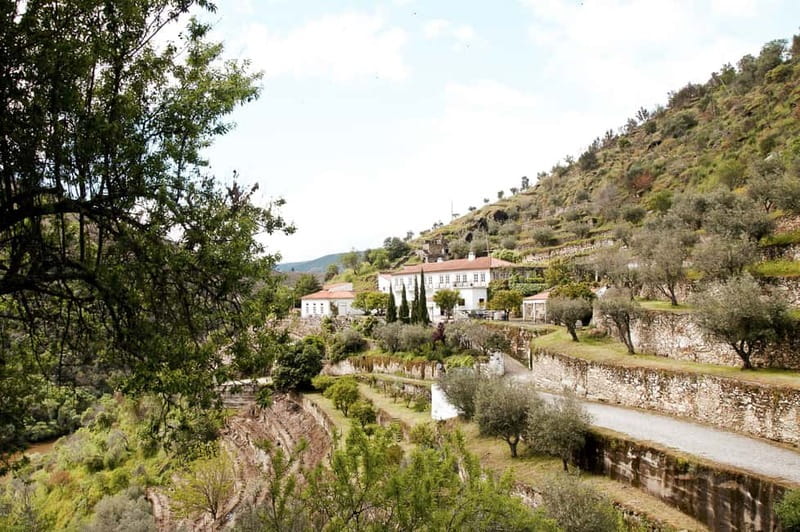 Douro Valley: Tour with Wine Tastings, Lunch, and Boat Ride - Price and Logistics: What You Get for $169 and Why It Adds Up