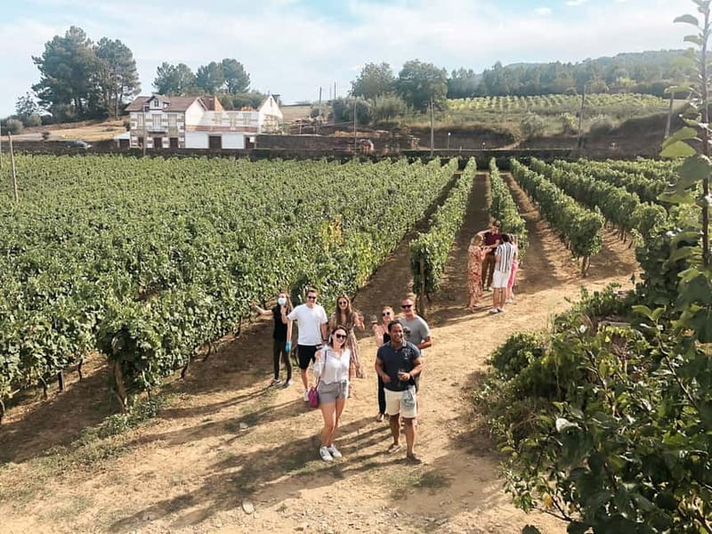 Douro Valley: Tour with Wine Tastings, Lunch, and Boat Ride - Porto to the Douro Ridges in a Small 8-Seat Minivan