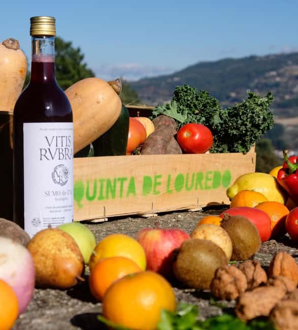 Douro Valley: Traditional Cooking Class, Farm Tour and Lunch - Quinta de Louredo: a family farm meal tied to wildfire recovery