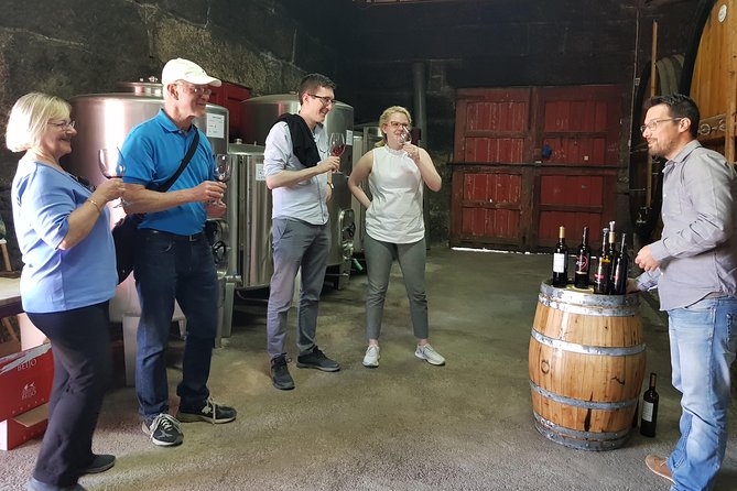Douro Valley Wine Tour: 3 Vineyard Visits, Wine Tastings, Lunch - What you actually taste: DOC, Port, and sample-size reality