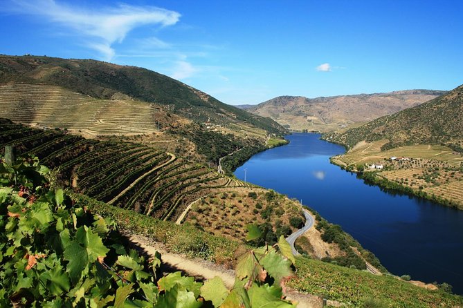 Douro Valley Wine Tour: 3 Vineyard Visits, Wine Tastings, Lunch - Folgosa Winery: centuries-old estate tour and Port-focused tasting
