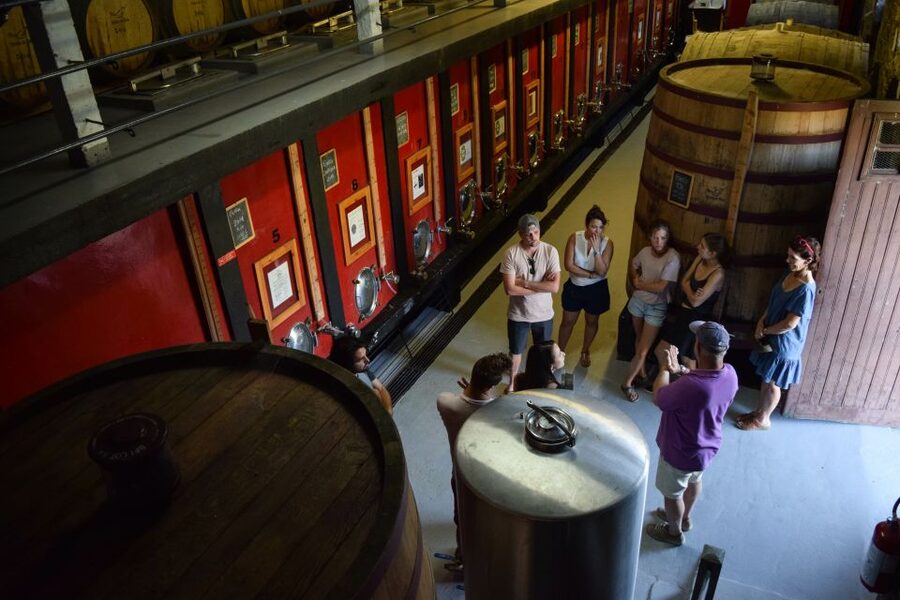 Douro Valley: Winery Tour at Quinta do Tedo and Tastings - Key Things You’ll Notice on This Quinta do Tedo Tour