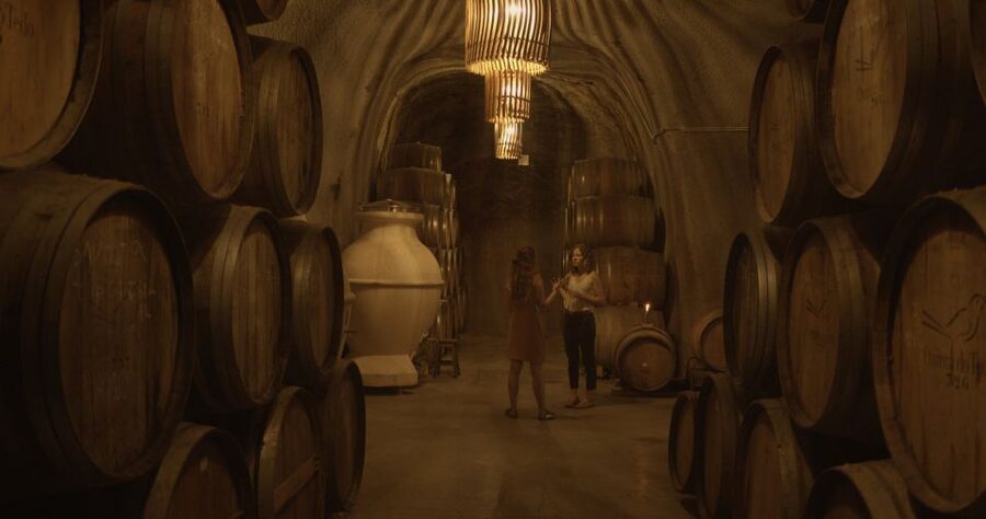 Douro Valley: Winery Tour at Quinta do Tedo and Tastings - Practical tips to make the most of your Quinta do Tedo hour