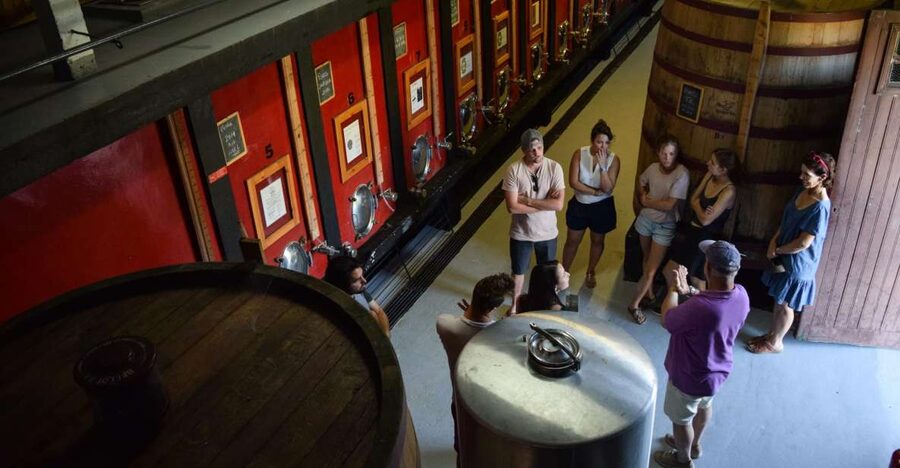 Douro Valley: Winery Tour at Quinta do Tedo and Tastings - Quinta do Tedo, an 18th-century estate above the Douro and Tedo