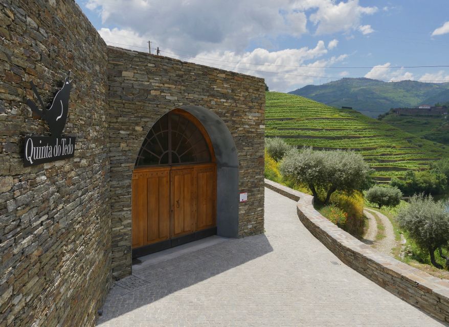 Douro Valley: Winery Tour at Quinta do Tedo and Tastings - The 35-minute guided tour: vines, olive orchards, and the vineyard story