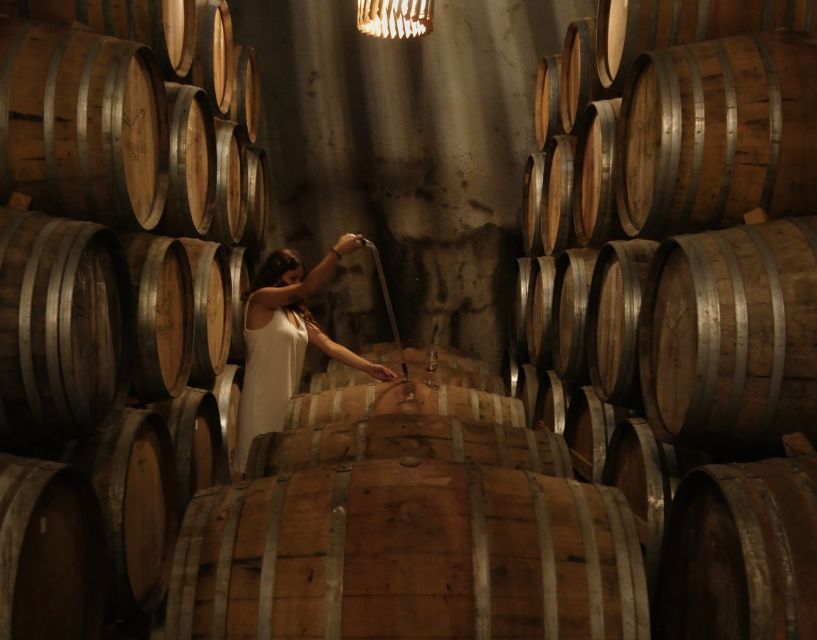 Douro Valley: Winery Tour at Quinta do Tedo and Tastings - 5 minutes of shopping: what to do if you want bottles to bring home