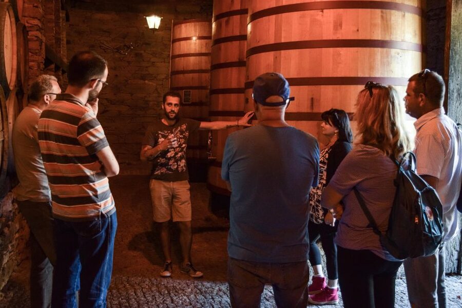 Douro Valley: Winery Tour at Quinta do Tedo and Tastings - Price and timing: is $42 worth it for a focused Douro stop?