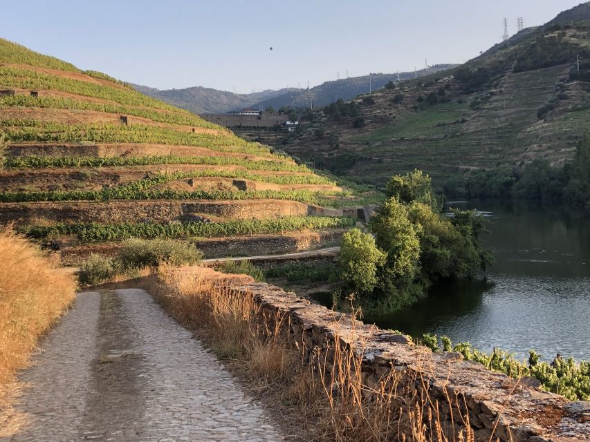 Douro Valley: Winery Tour at Quinta do Tedo and Tastings - Choosing your language and getting the most from the guide