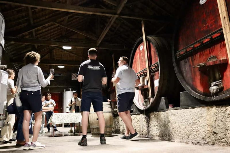 Douro Valley: Winery, Traditional Lunch & Private Boat Trip - Price and Value: What $223 Buys You in the Real World