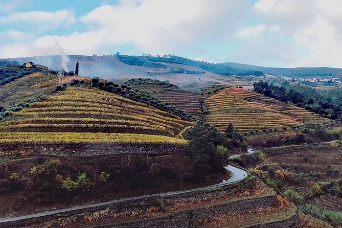 Douro Valley with Two Winery, Boat Trip and Lunch From Porto - Key things I’d circle before you go