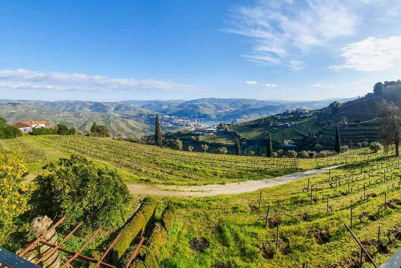 Douro Valley with Two Winery, Boat Trip and Lunch From Porto - Price and value: what $167 buys in a full 10-hour format