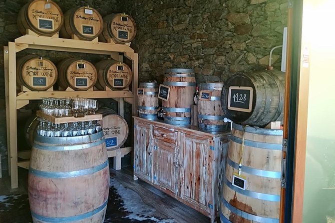 Douro Valley with Two Winery, Boat Trip and Lunch From Porto - Two winery visits: Port first, then the broader Douro story
