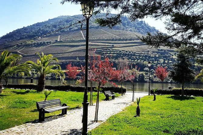 Douro Valley with Two Winery, Boat Trip and Lunch From Porto - Tabuaço lunch: the break that keeps the day enjoyable