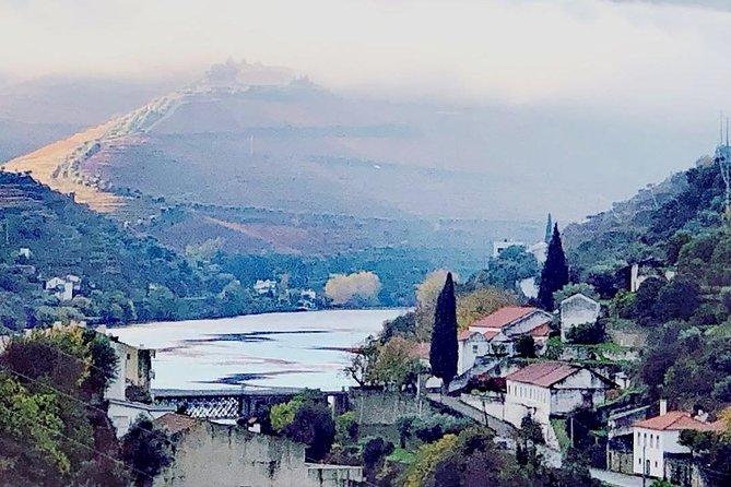 Douro Valley with Two Winery, Boat Trip and Lunch From Porto - Pinhão and the olive oil museum tasting: more than just wine