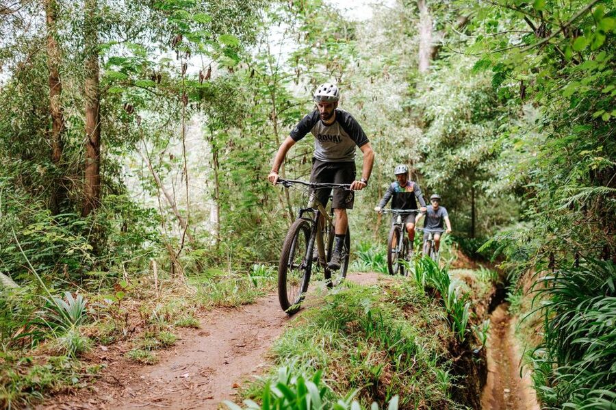 E-Bike Guided Tour - Mountain biking experience - Key highlights I’d prioritize