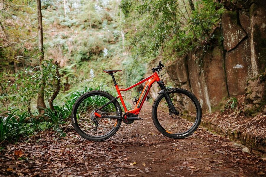 E-Bike Guided Tour - Mountain biking experience - Camacha to the levadas: why this route feels so special