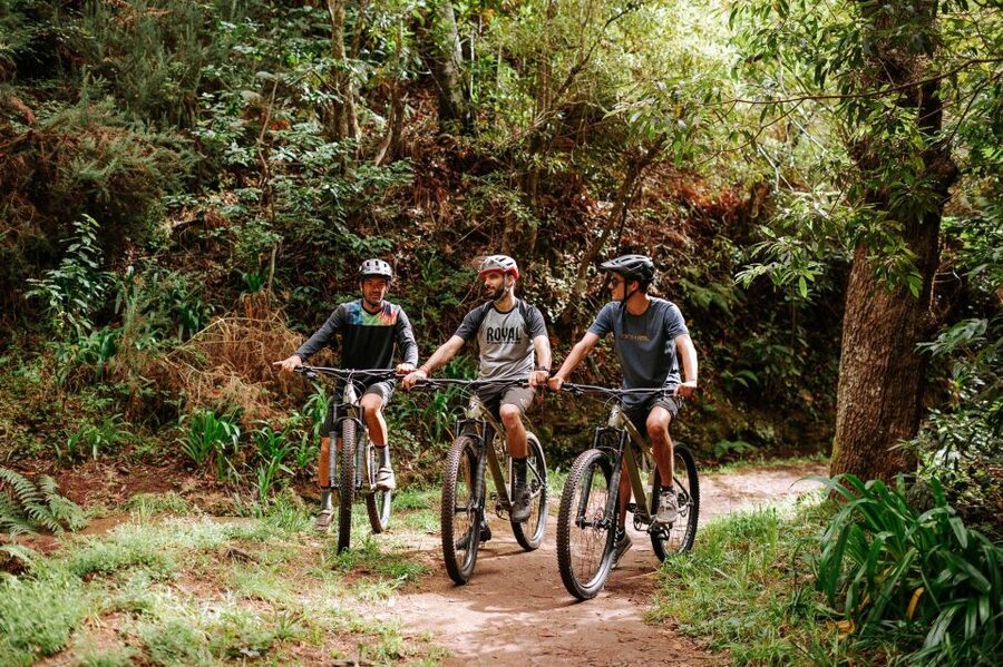 E-Bike Guided Tour - Mountain biking experience - How the half-day schedule works, from meeting point to return