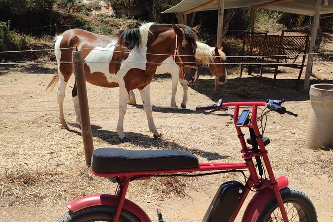E-Bike Tour in Albufeira - The guide makes or breaks the e-bike experience