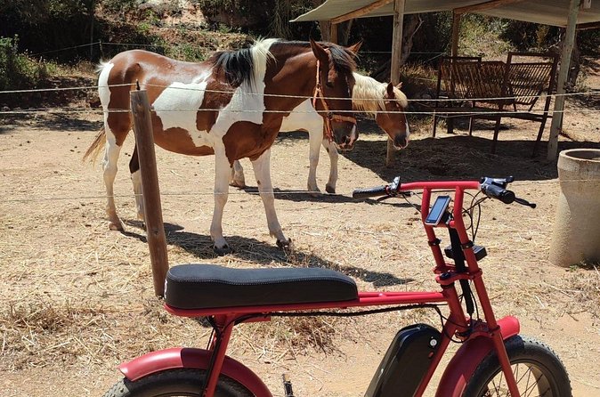 E-Bike Tour in Albufeira - FAQ