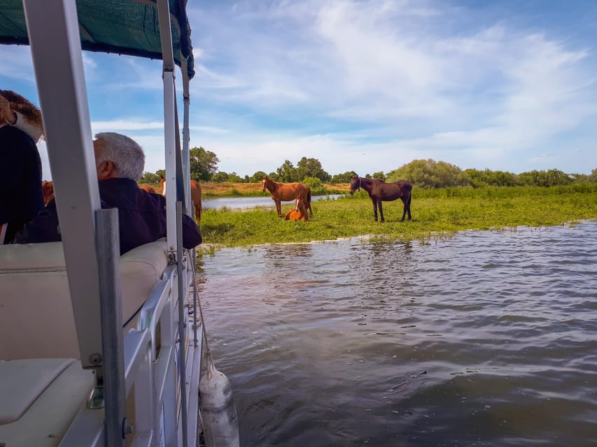 Escaroupim: 1 hour boat trip, guided tour - Islets, Mouchões, and the Moment Fish Jumping Steals the Show