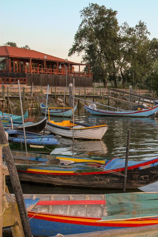 Escaroupim: 1 hour boat trip, guided tour - Museums and Falconry Visits: What You Can Add When Availability Allows