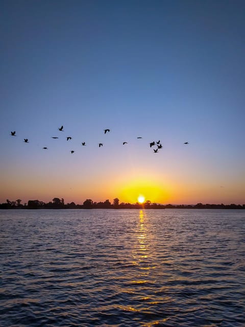 Escaroupim: 1 hour boat trip, guided tour - Price and Value: Why $15 for One Hour Can Make Sense