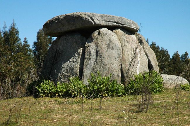 Évora and Megaliths Full-Day Tour from Lisbon - Climb the Cathedral Roof for the Big Views