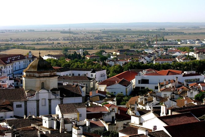 Évora: Private walking tour with tickets to main monuments - Key highlights you’ll feel immediately