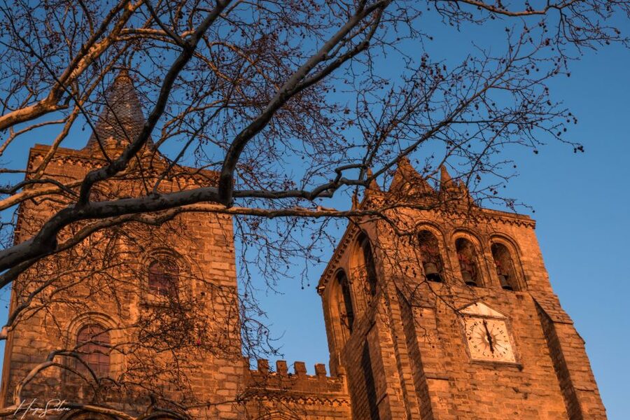 Évora: Tales and Legends Guided Walking Tour - Price and Value for a 2.5-Hour Small Group