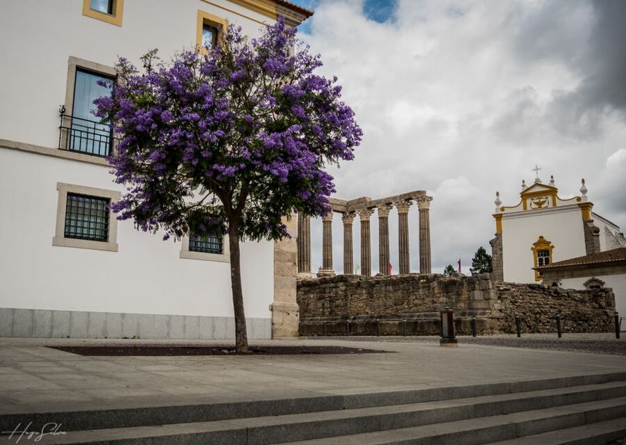 Évora: Tales and Legends Guided Walking Tour - Snack at a Local Pastry Shop, a Small Detail With Big Payoff