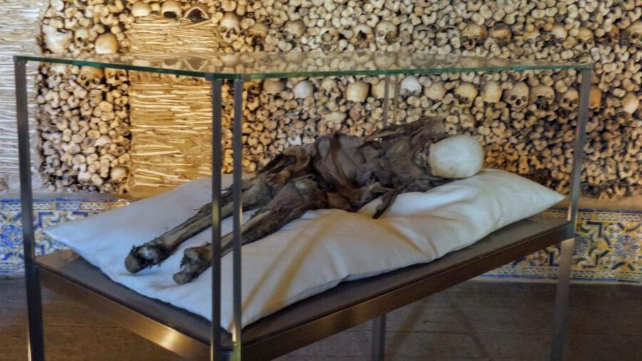 Evora University, Cathedral & Bones Chapel — SkipLine + Wine - University of Évora, A 16th-Century Anchor With Real Talk