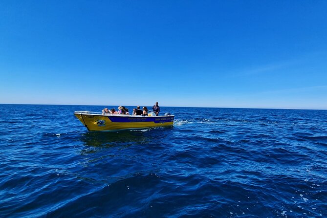 Express Tour - Benagil Cave - Should you book the Benagil Cave Express Tour?
