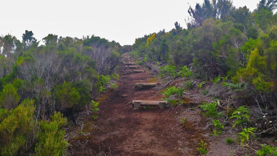 Fanal / Assobiadores - Levada Walk - What to pack for an 8-hour day (and why lunch not included matters)
