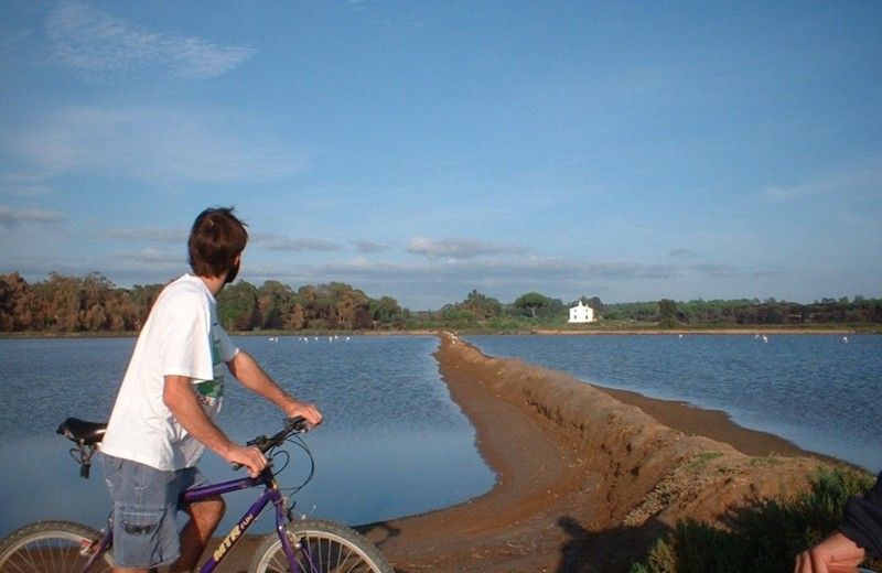 Faro Bike Tour through the Beautiful Ria Formosa - Key things worth knowing before you go