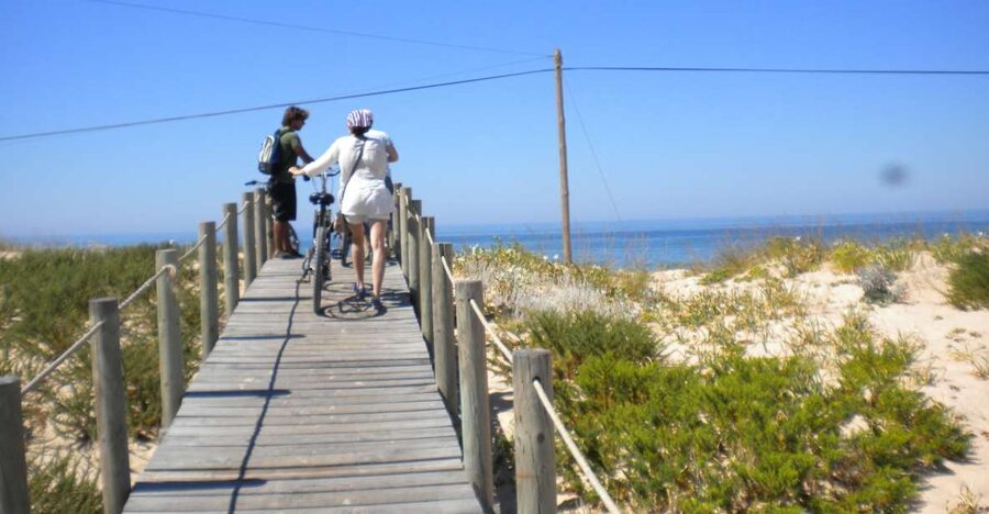 Faro Bike Tour through the Beautiful Ria Formosa - Should you book the Faro Bike Tour through the Ria Formosa?