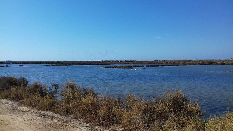 Faro Bike Tour through the Beautiful Ria Formosa - The ride plan: saltpans first, then marsh channels, then Praia de Faro