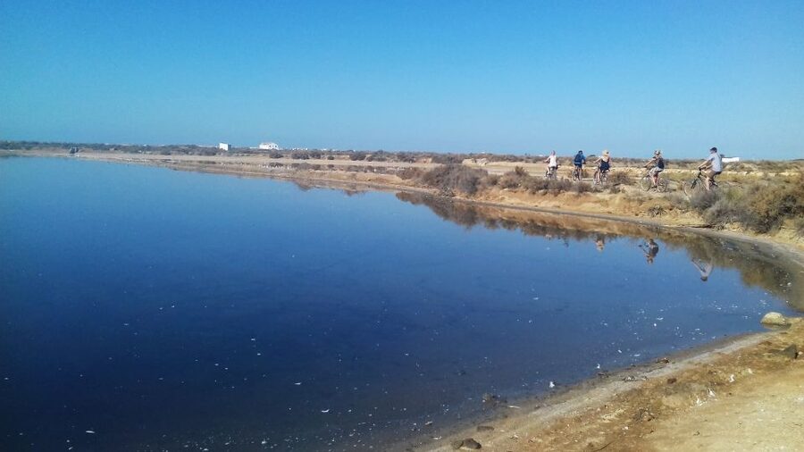 Faro Bike Tour through the Beautiful Ria Formosa - Why the guide matters here, and what to look for