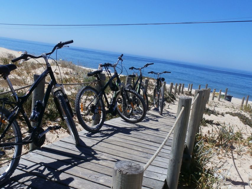 Faro Bike Tour through the Beautiful Ria Formosa - Price and value: what $58 buys you in real terms