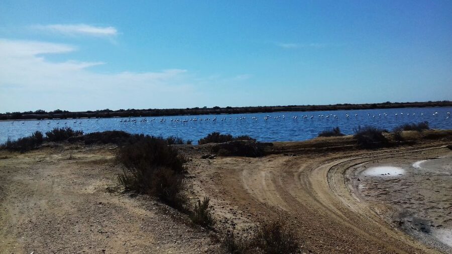 Faro Bike Tour through the Beautiful Ria Formosa - What to bring, so the ride feels easy instead of annoying