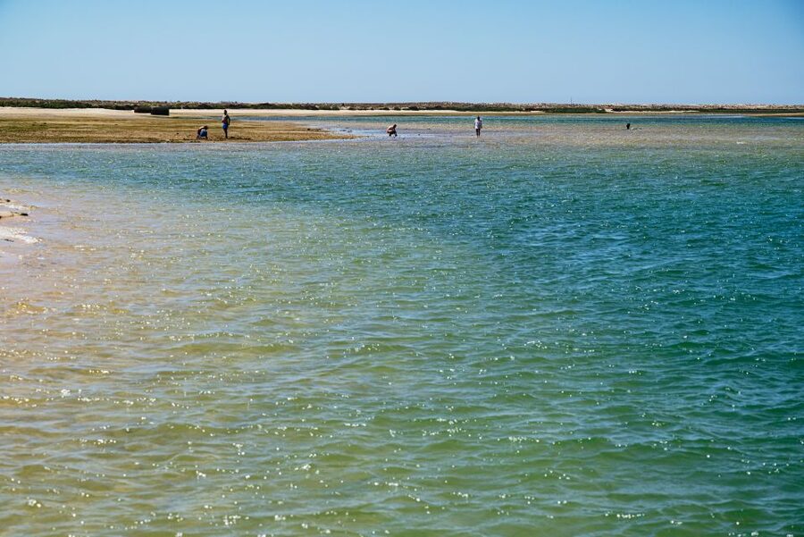 Faro: Deserta Island and Farol Island Catamaran Boat Trip - Price and value: why 47 dollars can feel like a deal