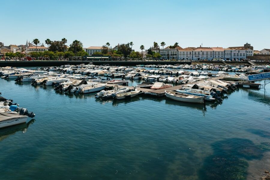 Faro: Deserta Island and Farol Island Catamaran Boat Trip - Cruising Ria Formosa Natural Park, where bird spotting is the main event